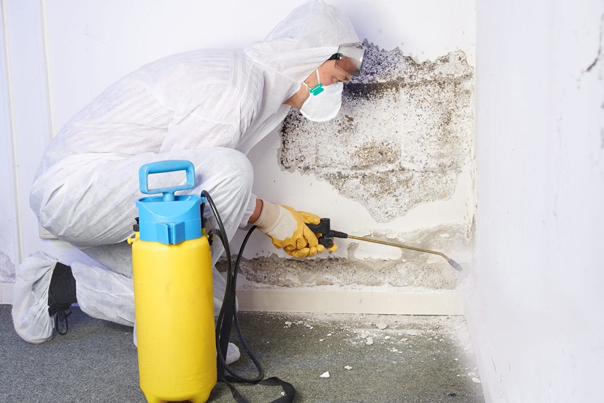 MOULD REMEDIATION