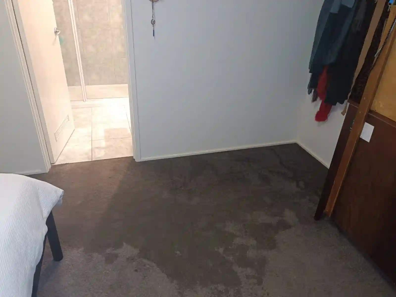 Flood-Restoration-Geelong-18 - Flood Restoration Geelong