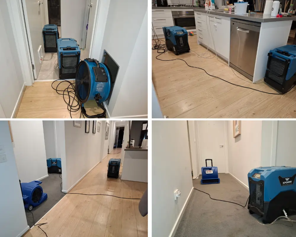 before flood restoration (15)