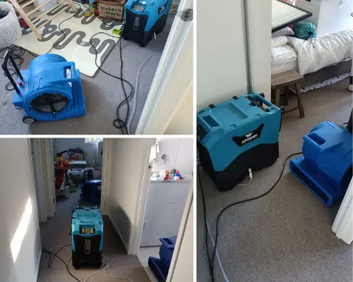 before flood restoration (20)