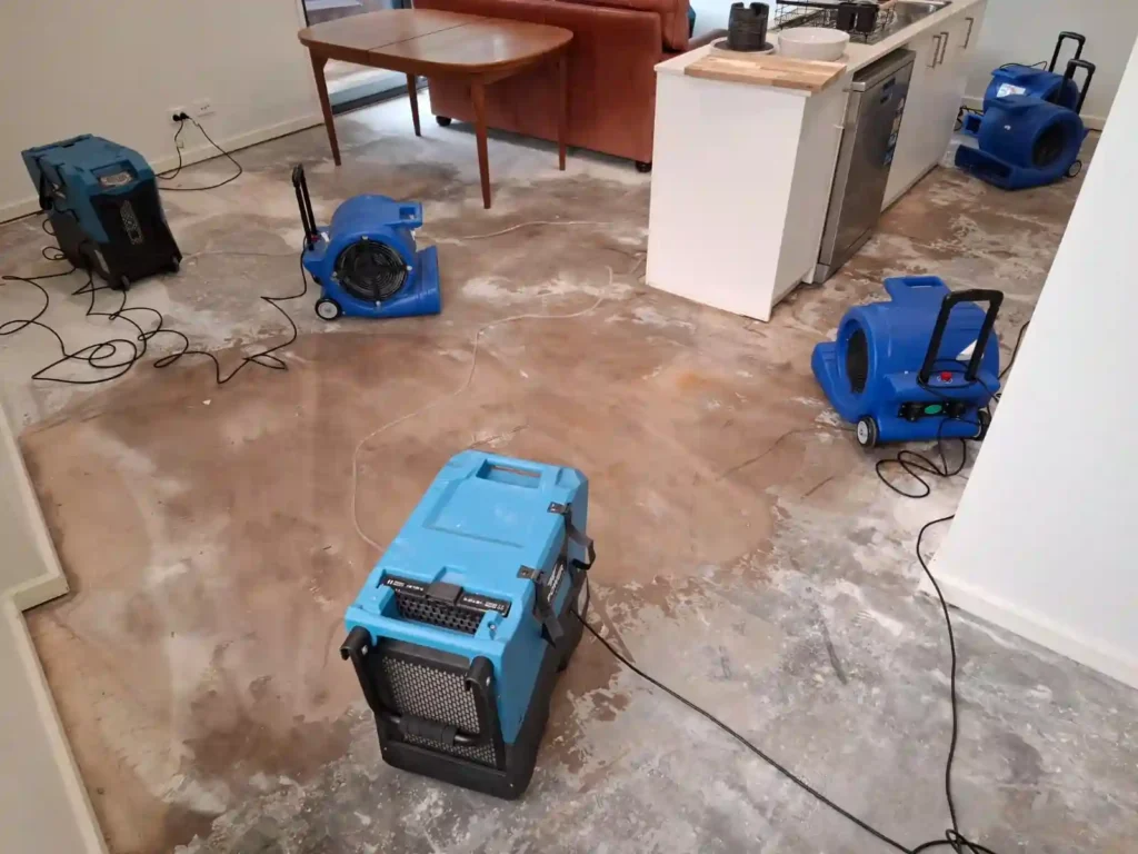 Emergency water restoration technicians performing water extraction in Geelong home