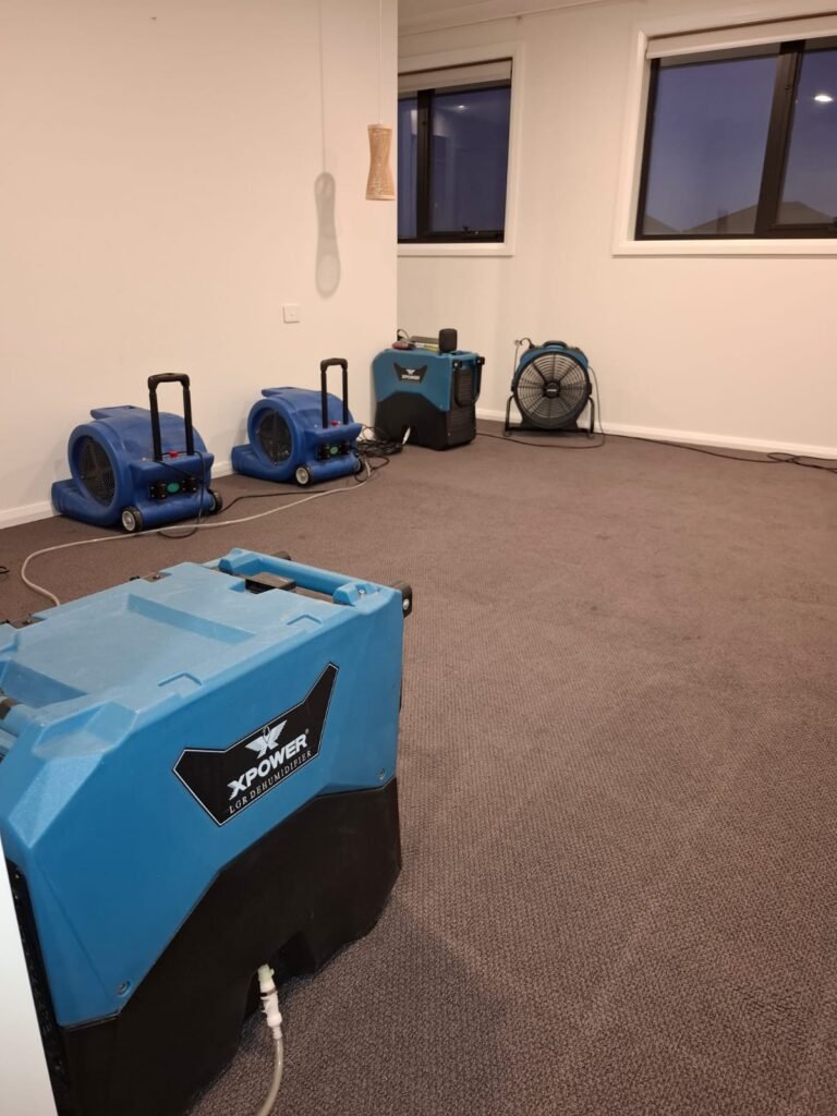 whatsapp image 2025 11 05 at 1.08.18 pm