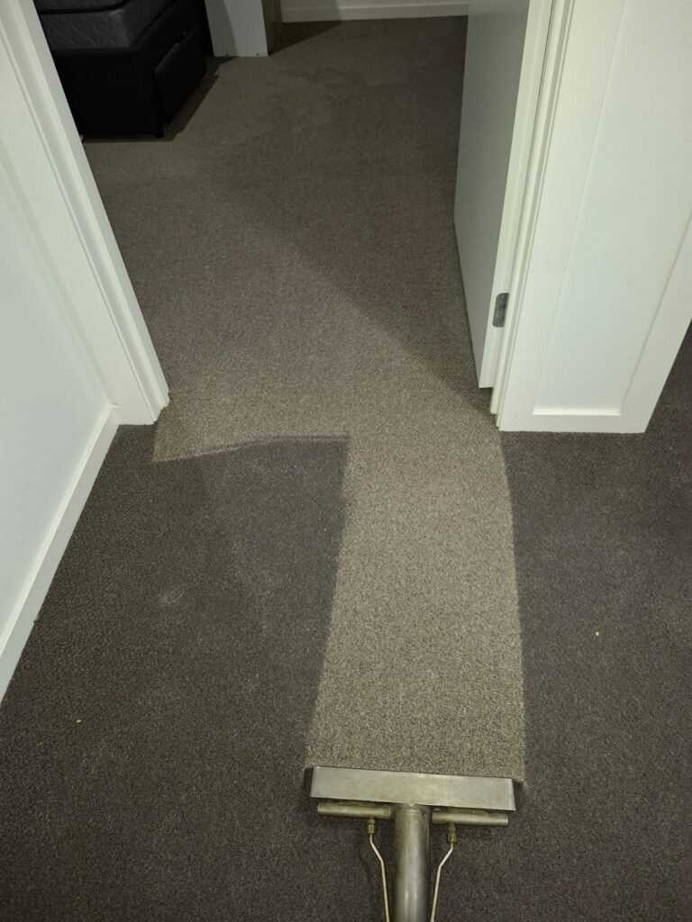 whatsapp image 2025 11 05 at 1.14.42 pm