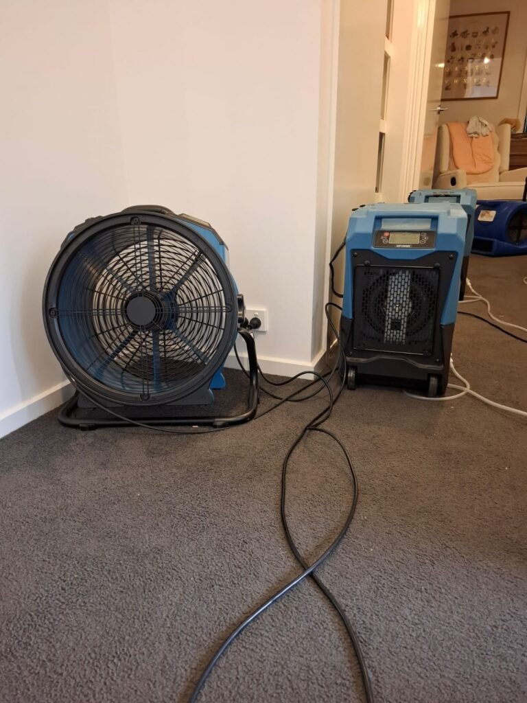 whatsapp image 2025 11 05 at 1.22.38 pm