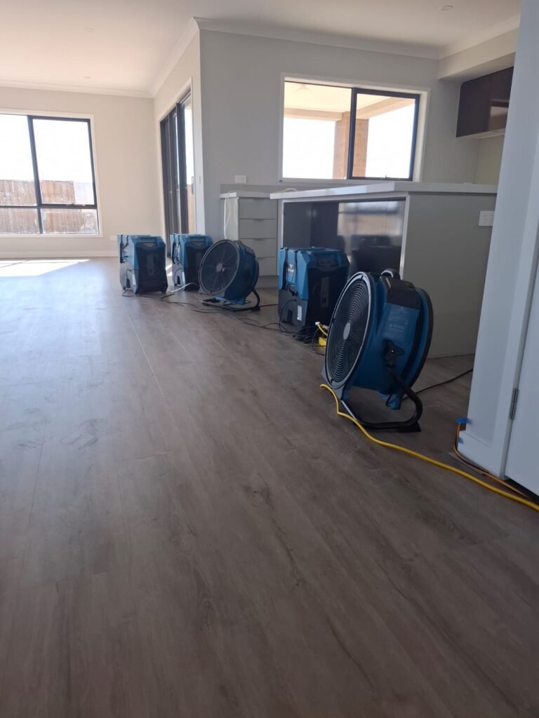 whatsapp image 2025 11 05 at 1.28.57 pm