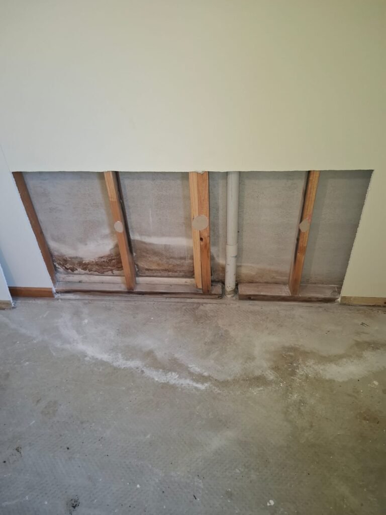 whatsapp image 2025 11 05 at 1.35.23 pm