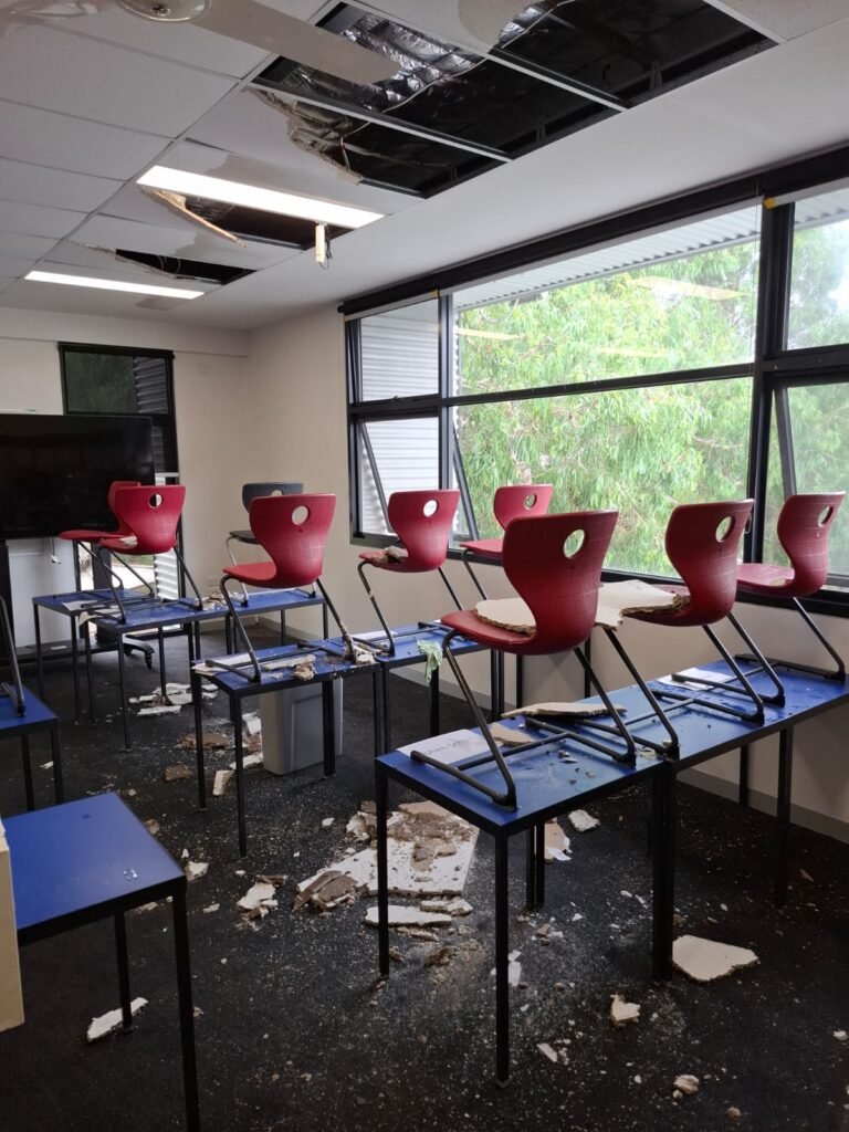 whatsapp image 2025 11 05 at 1.49.29 pm