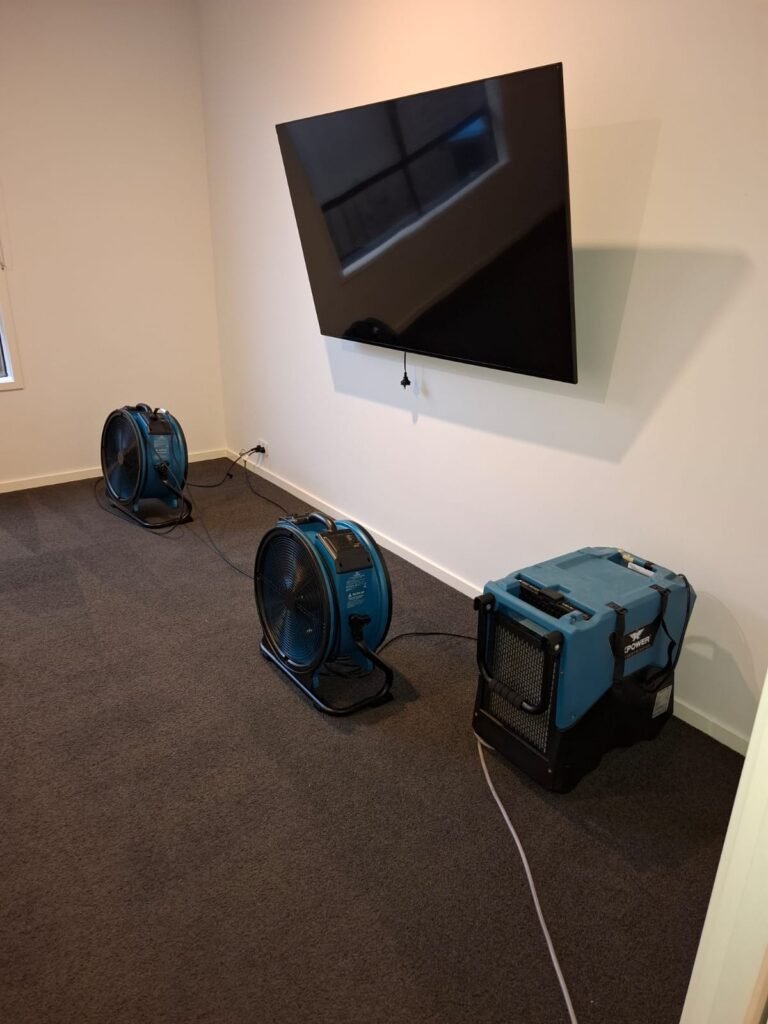 whatsapp image 2025 11 05 at 12.47.47 pm