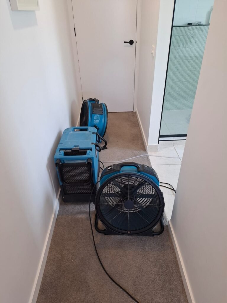 whatsapp image 2025 11 05 at 12.54.36 pm