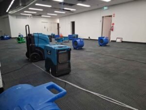 Blogs 1 flood restoration (4)