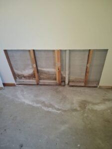 Professional mould removal service in a Geelong residential property